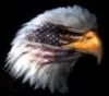 Eagle with american flag