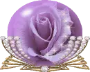 lilac rose globe