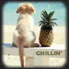 chillin with the pineapple