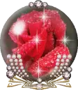 rose globe