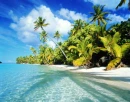 paradise
