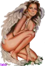 glitter angel