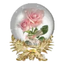 pink rose globe