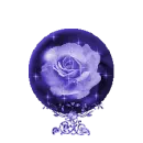 purple flower