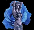 blue rose