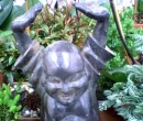 Happy Buddha 