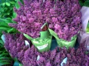 Purple Flowers