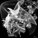 Doves & Butterflies Animated