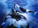 Whales
