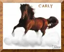Carly's Horse Graphic