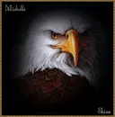 Animated Eagle for Michelle
