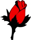 Red Rose