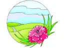 pretty flower