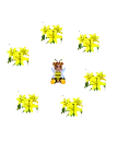 baby bee