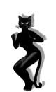 dancin kitty