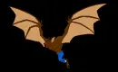 flying bat,