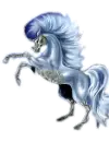 pretty horse