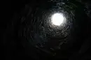 The well