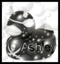 Ashley Pirate Duckie