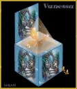 Animated Butterfly Box for Vanessa