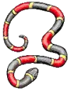 Coralsnake
