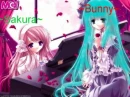 Sakura and Bunny