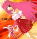 Sakura's cute
