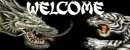 Dragon/Tiger Welcome