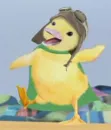 Wonder Pets