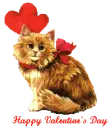 kitty kat heartz