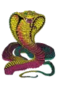 SNAKE