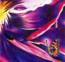 butterfly abstract