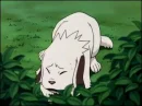 Akamaru