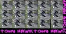 tony hawk 