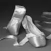 Ballet shoes