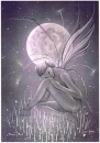 Fairy