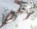 Elf