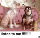 LISTEN
