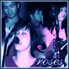 Purple Roses
