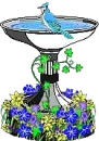 Bird Bath