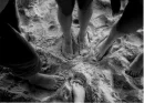 friend are life