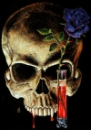 skull