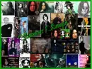Professor Snape collage