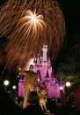 Magic Kingdom at night