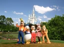 Mickey & Friends