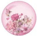 butterfly  globe