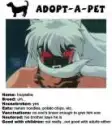 inuyasha