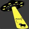 Moo?