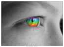 eyes 