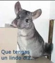 que tengas un lindo dia